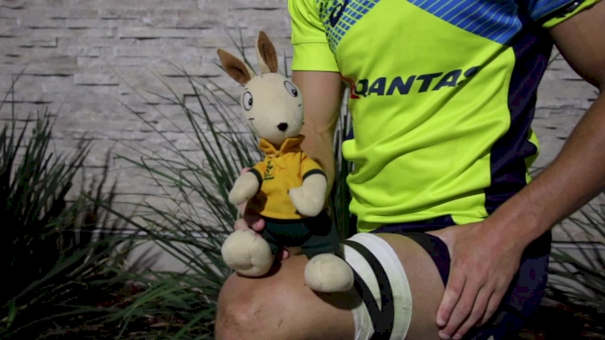 Wally The Wallaby May Be Australia's MVP