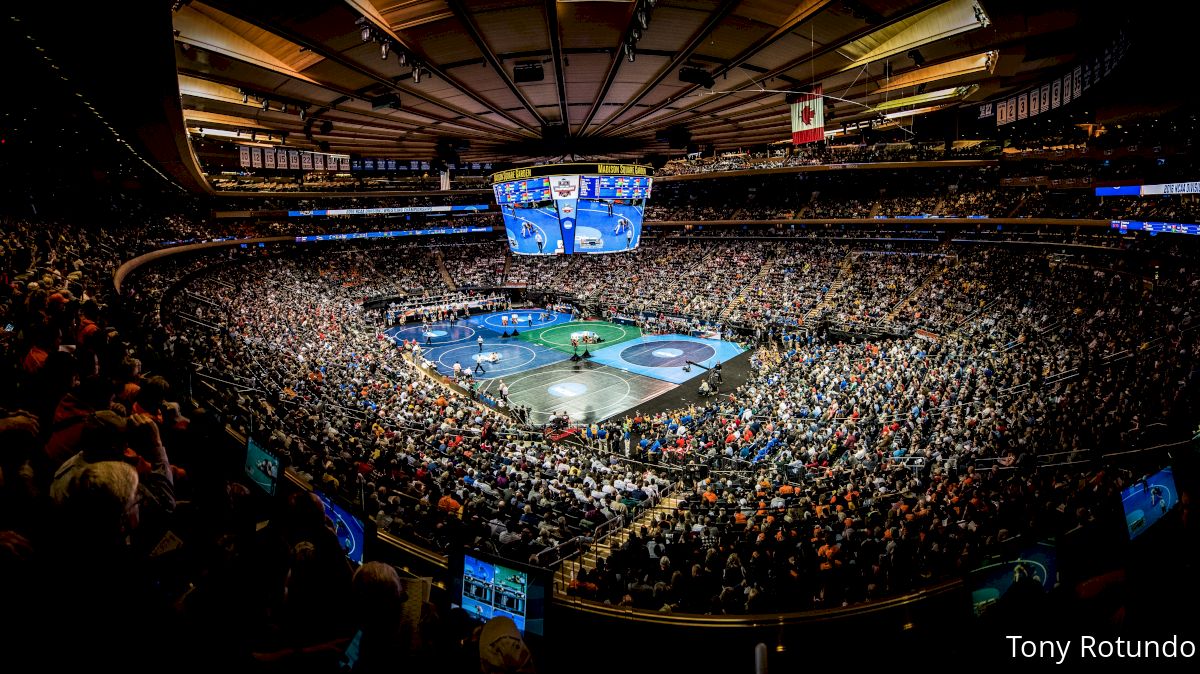 Dating site for wrestling fans