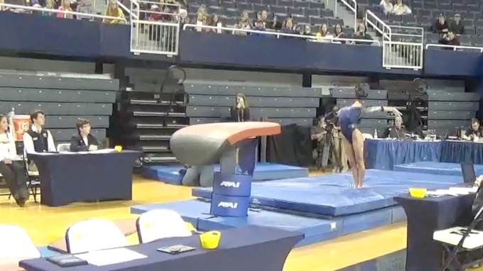 Paige Zaziski- Vault (9.85), Michigan- Michigan vs. EMU Intersquad