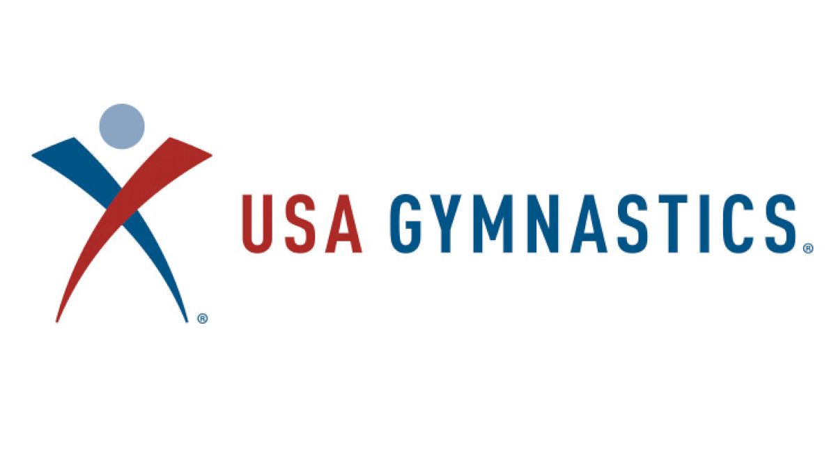 Image result for usa gymnastics